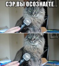 сэр,вы осознаете 