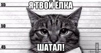 я твой ёлка шатал!