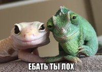  ебать ты лох