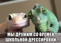  мы дружим со времен школьной дрессировки