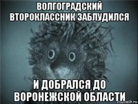 волгоградский второклассник заблудился и добрался до воронежской области