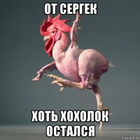 от сергек хоть хохолок остался