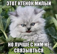 этот ктёнок милый но лучше с ним не связывться