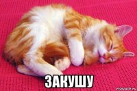  закушу