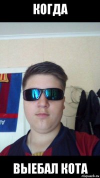 когда выебал кота