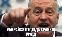  убирайся отсюда сраный урод!