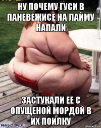 ну почему гуси в паневежисе на лайму напали застукали ее с опущеной мордой в их поилку