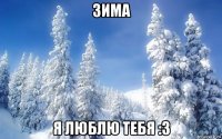 зима я люблю тебя :з