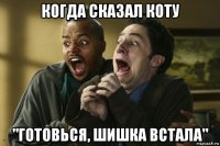 когда сказал коту "готовься, шишка встала"