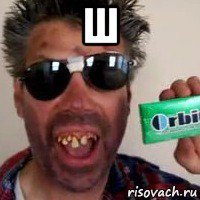 ш 
