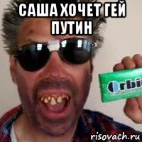 саша хочет гей путин 