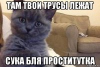 там твои трусы лежат сука бля проститутка