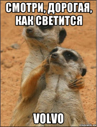 смотри, дорогая, как светится volvo