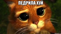 педрила хуй 