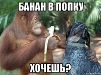 банан в попку хочешь?