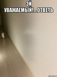 эй уважаемый!....ответь 
