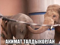  акимат талдыкорган