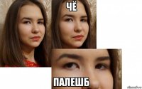 чё палешб