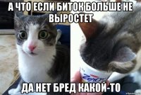 а что если биток больше не выростет да нет бред какой-то