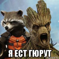  я ест гюрут