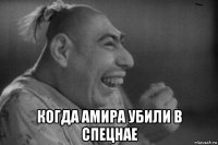  когда амира убили в спецнае