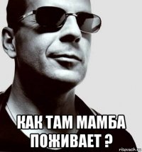  как там мамба поживает ?