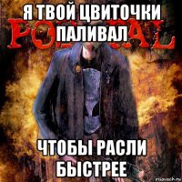 я твой цвиточки паливал чтобы расли быстрее