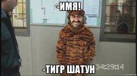 -имя! -тигр шатун