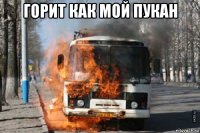 горит как мой пукан 