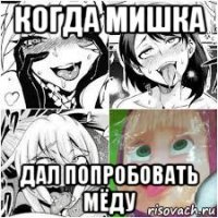 когда мишка дал попробовать мёду