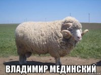  владимир мединский