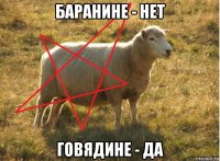 баранине - нет говядине - да