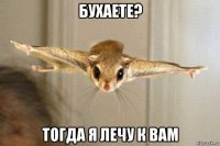 бухаете? тогда я лечу к вам