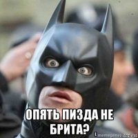  опять пизда не брита?