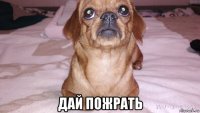  дай пожрать