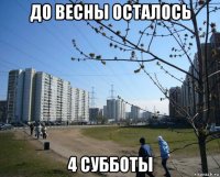 до весны осталось 4 субботы