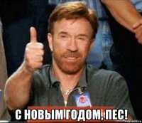  с новым годом, пес!