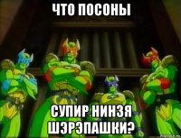 что посоны супир нинзя шэрэпашки?