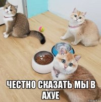  честно сказать мы в ахуе