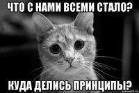 что с нами всеми стало? куда делись принципы?