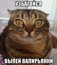 узбагойся выпей валирьянки