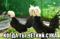  когда ты чёткий сука