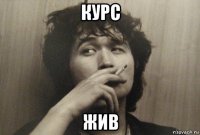 курс жив