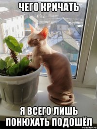 чего кричать я всего лишь понюхать подошёл