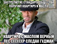 застрелил не стандарта общества получил квартиру и масло квартира с маслом верный пес сесесер следак гудман