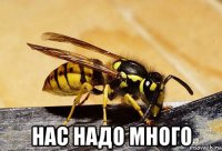 нас надо много