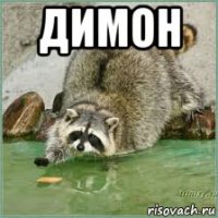 димон 