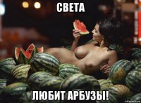 света любит арбузы!