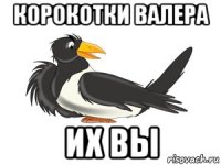 корокотки валера их вы