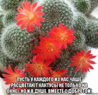  пусть у каждого из нас чаше расцветают кактусы не только на окне... но и в душе, вместе с добротой!